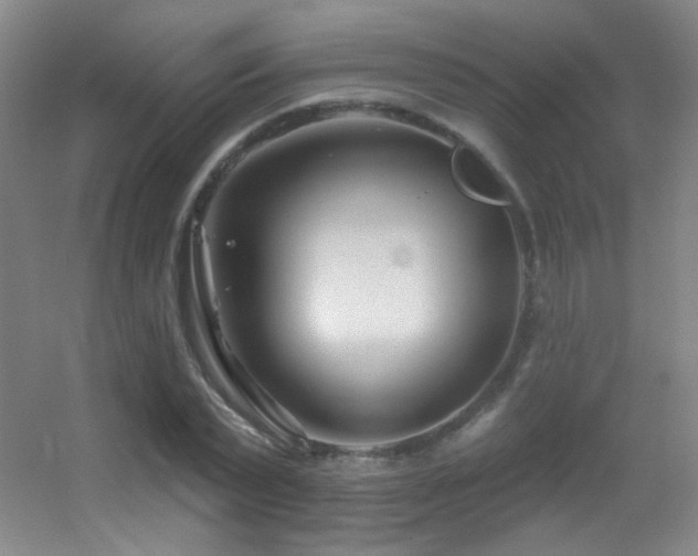 X0000055520783200508121042