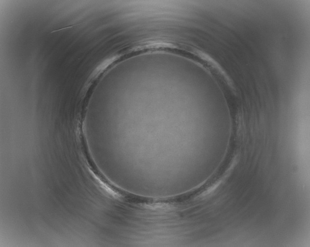 X0000055520785200508121042