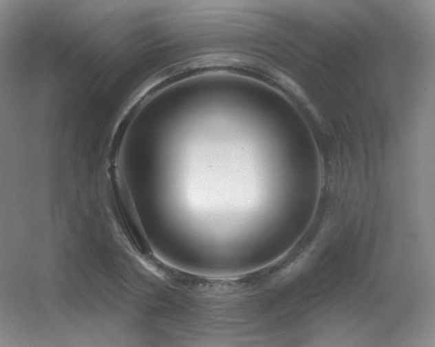 X0000055520786200508121042