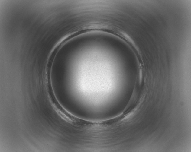 X0000055520787200508121042
