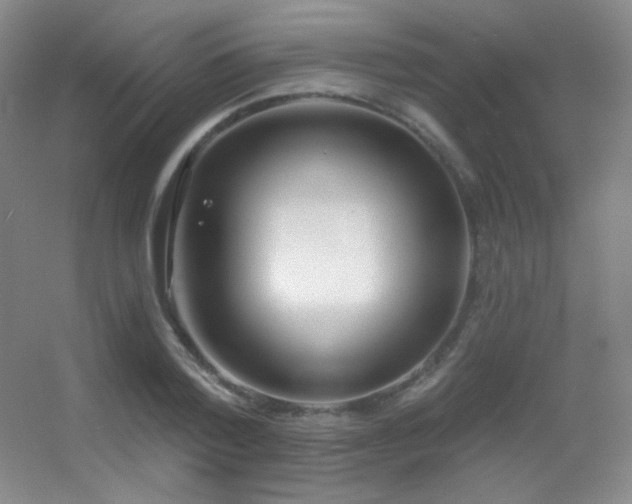 X0000055520788200508121042