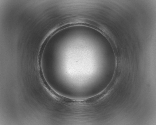X0000055520789200508121042