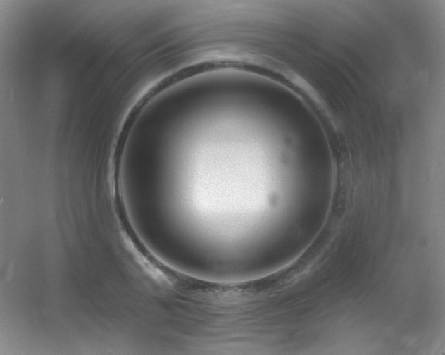 X0000055520791200508121042