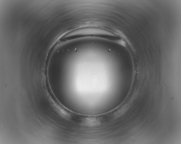 X0000055520794200508121042
