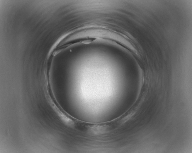 X0000055520796200508121042