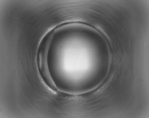 X0000055520797200508121042
