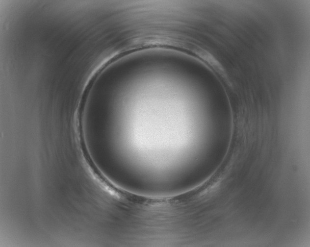 X0000055520798200508121042