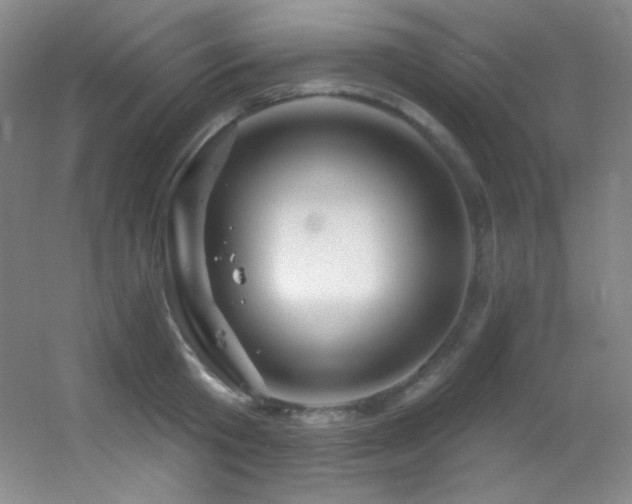X0000055520801200508121042