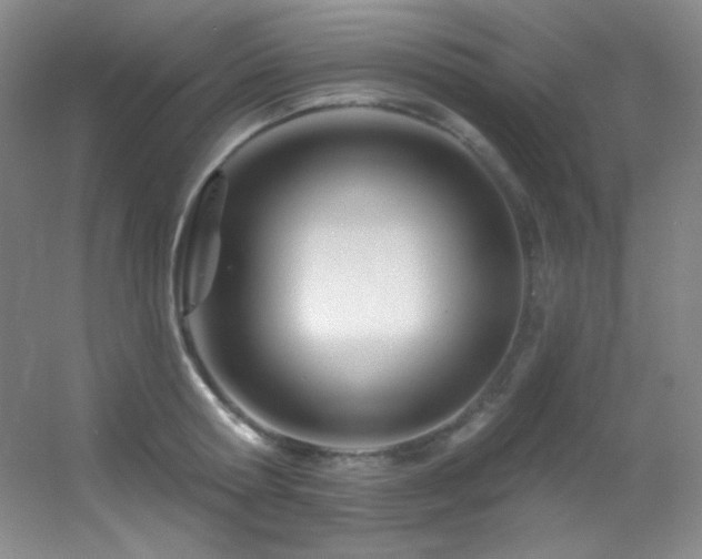 X0000055520802200508121042
