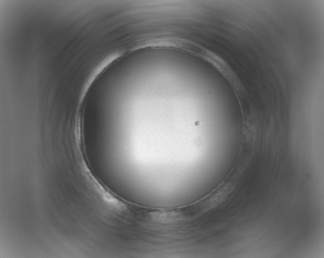 X0000055520804200508121042