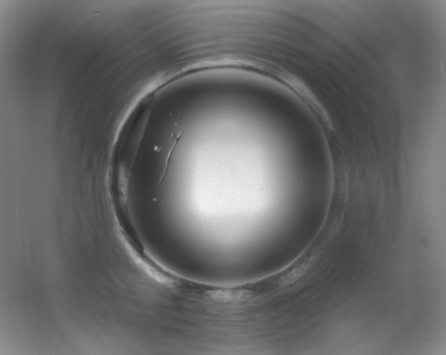 X0000055520805200508121042