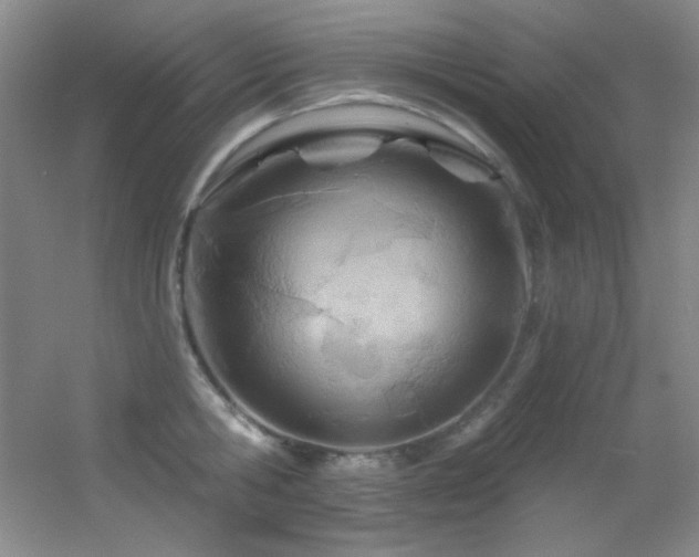 X0000055520806200508121042