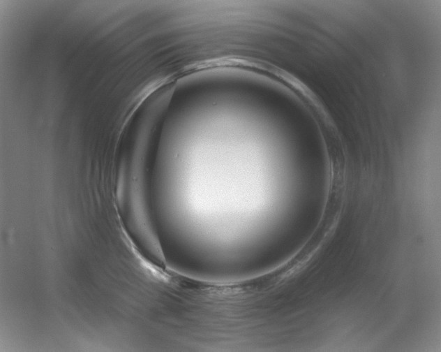 X0000055520809200508121042