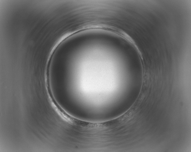 X0000055520811200508121042