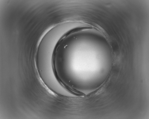 X0000055520812200508121042