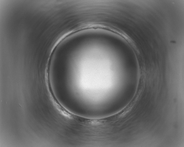 X0000055520814200508121042
