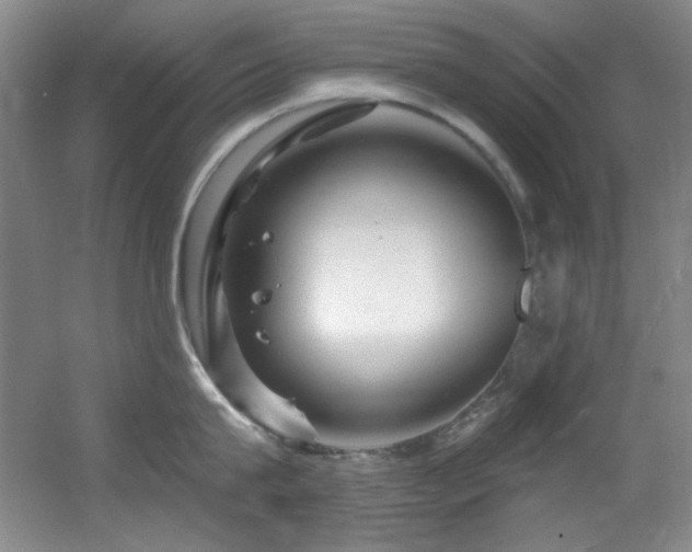 X0000055520815200508121042