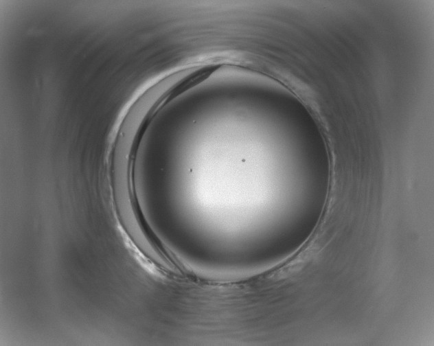 X0000055520816200508121041