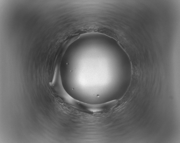 X0000055520818200508121041