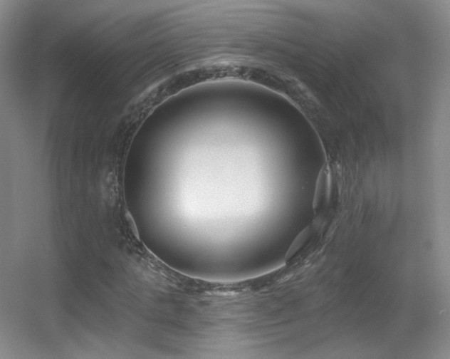 X0000055520821200508121041