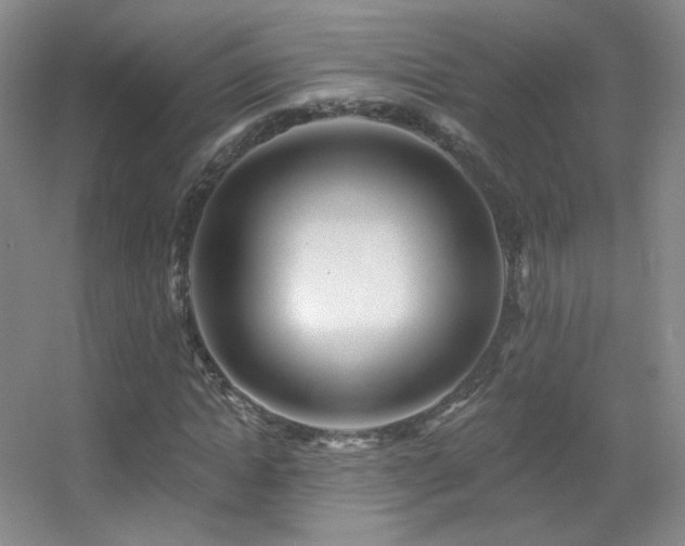 X0000055520822200508121041