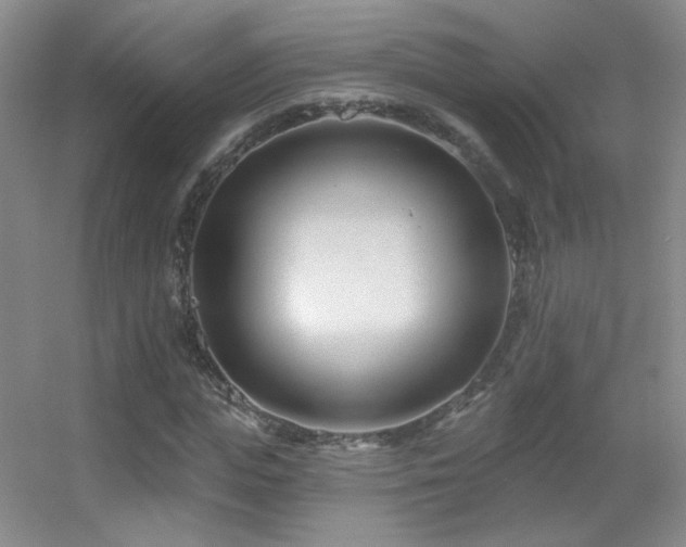 X0000055520823200508121041