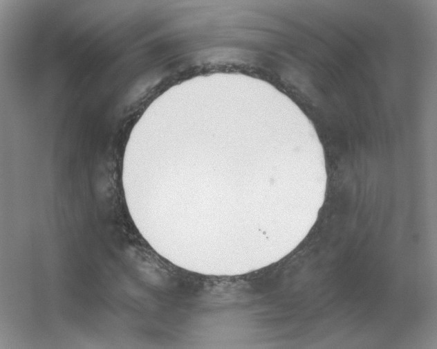 X0000055520824200508121041