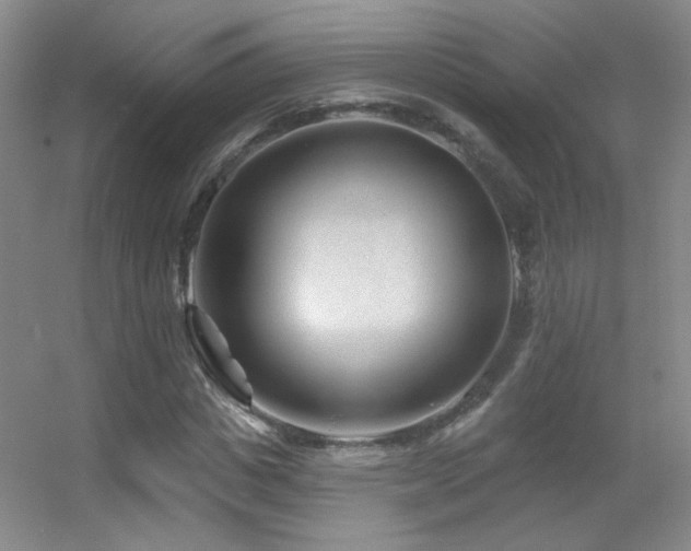 X0000055520825200508121041