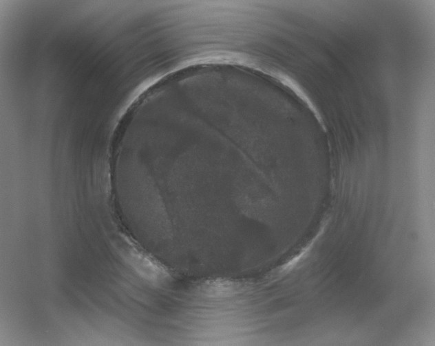 X0000055520829200508121041