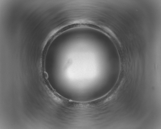 X0000055520831200508121041
