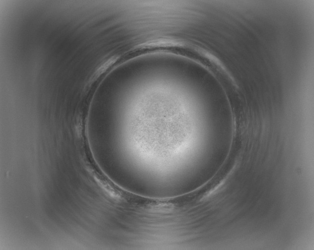 X0000055520833200508121041