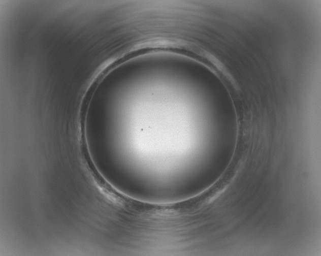 X0000055520837200508121041