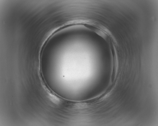 X0000055520844200508121041