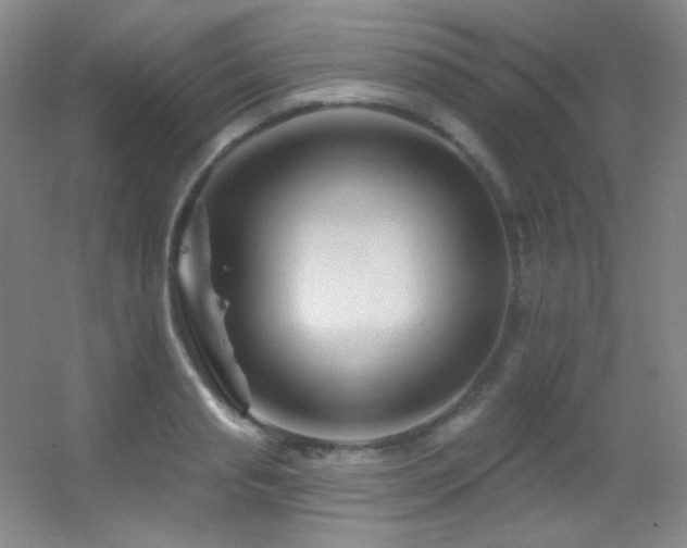 X0000055520845200508121041