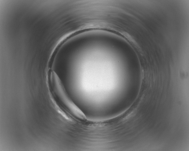 X0000055520846200508121041