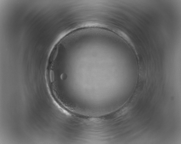 X0000055520847200508121041