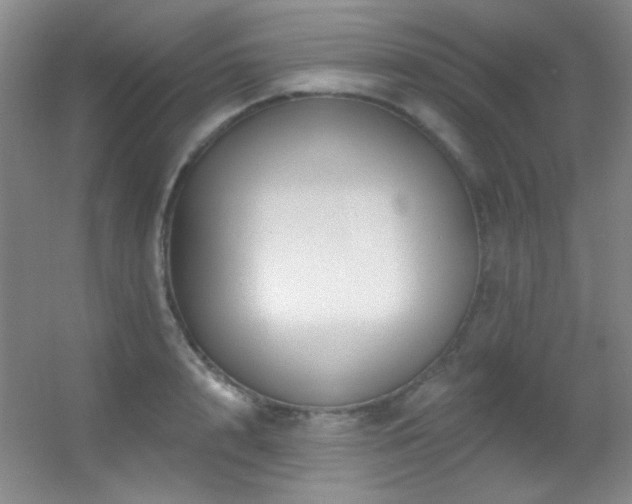 X0000055520848200508121041