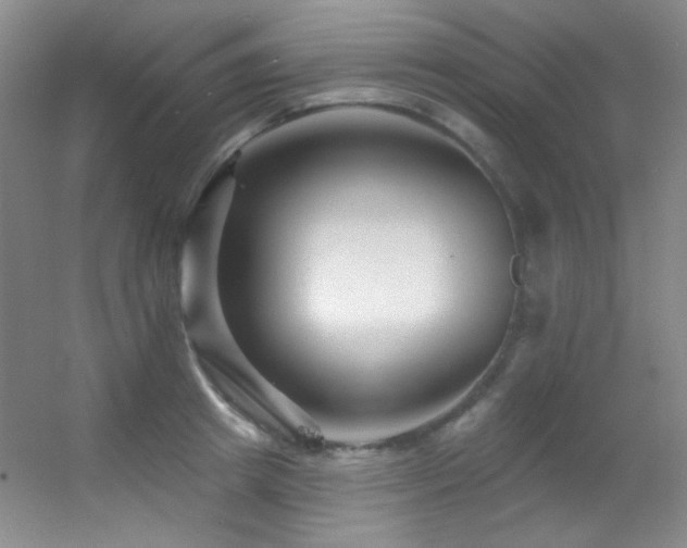 X0000055520849200508121041