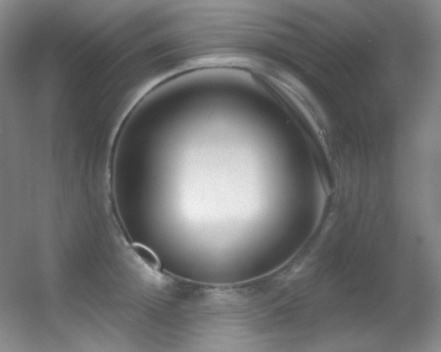 X0000055520852200508121041