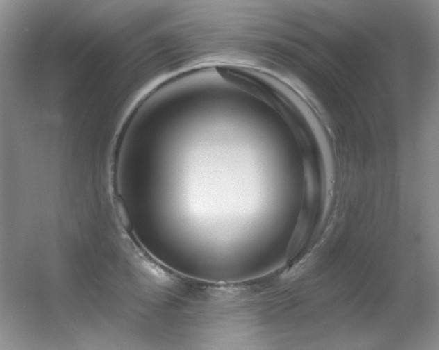X0000055520854200508121041