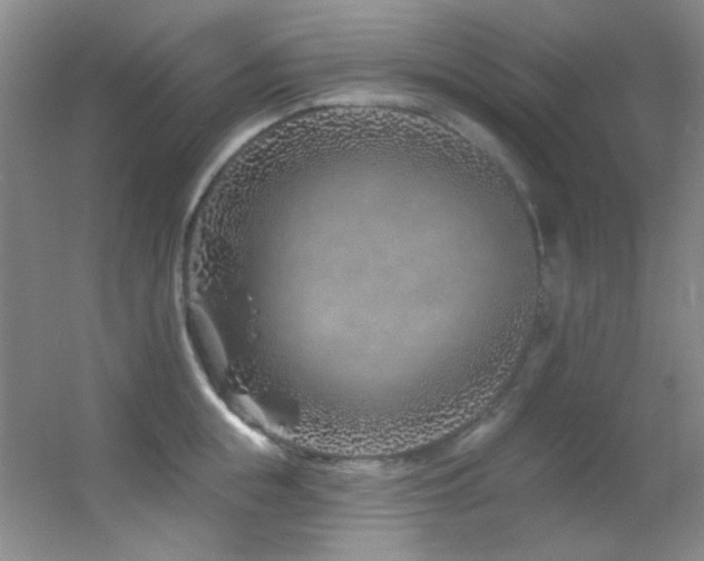 X0000055520855200508121041