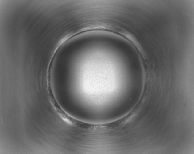 X0000055520858200508121041
