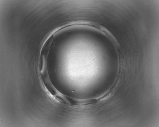 X0000055520860200508121041