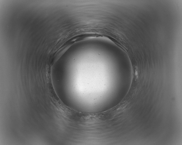 X0000055520867200508121041