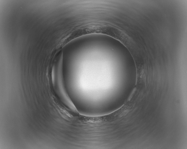 X0000055520868200508121041