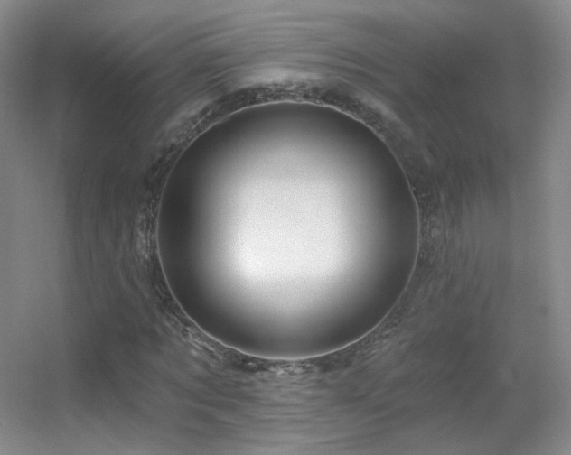X0000055520869200508121041