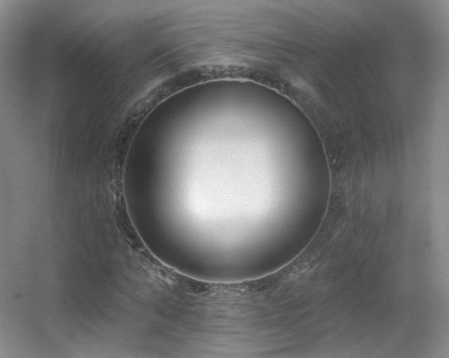 X0000055520870200508121041