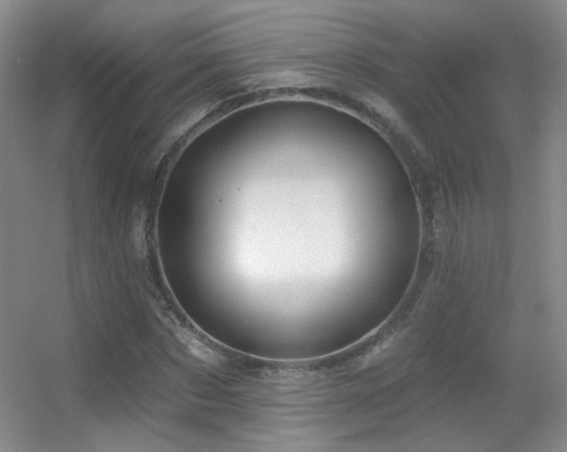 X0000055520873200508121041