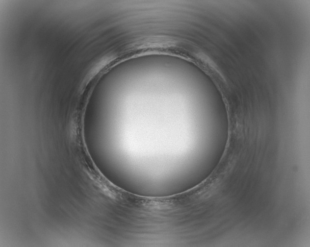 X0000055520874200508121041
