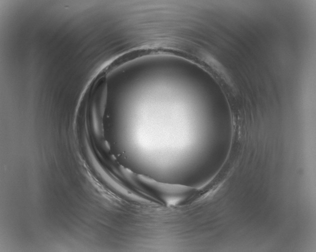 X0000055520876200508121040